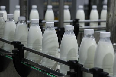 Объём реализации молока в сельхозорганизациях вырос на 5,6%