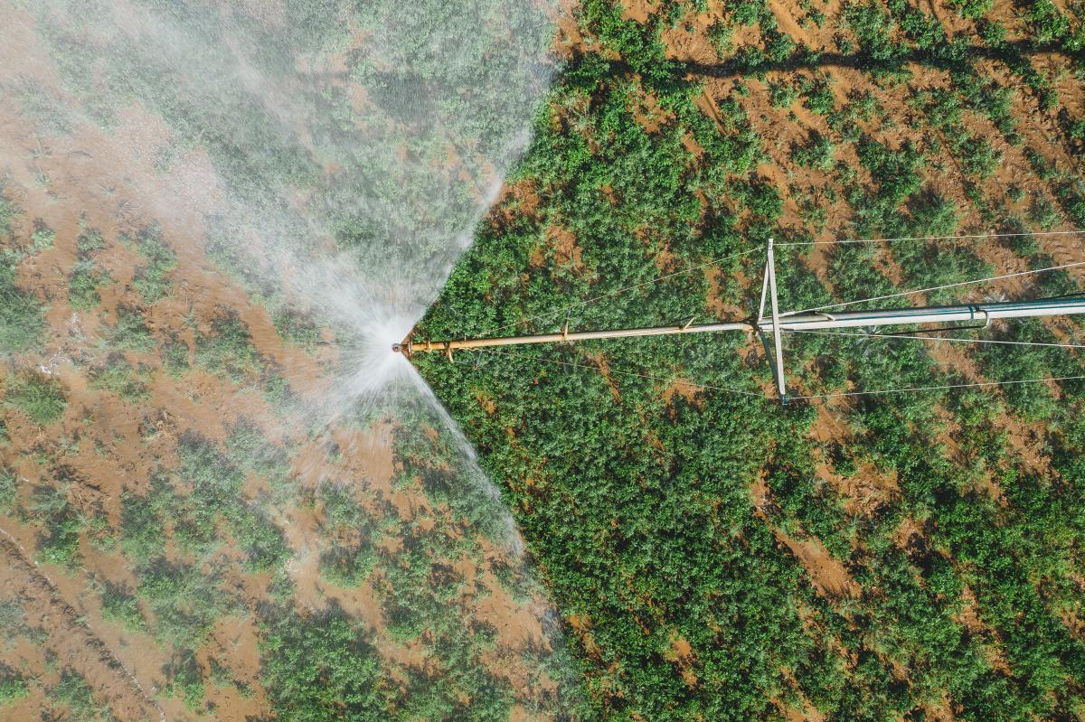 Господдержка в области мелиорации сельхозземель в Орловской области выросла почти вдвое 