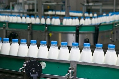 Объём реализации молока в сельхозорганизациях вырос на 6,1%