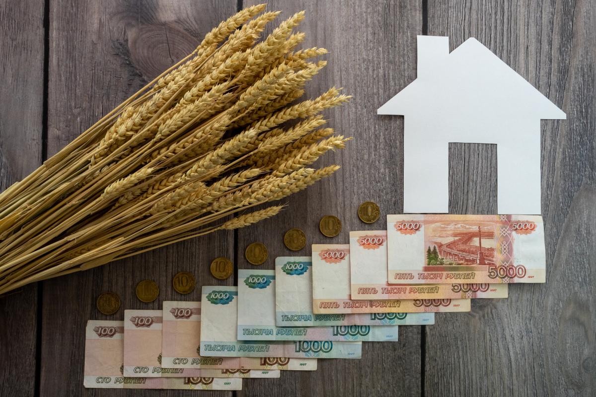 Аграриям Ивановской области перечислено 646,85 млн руб. господдержки