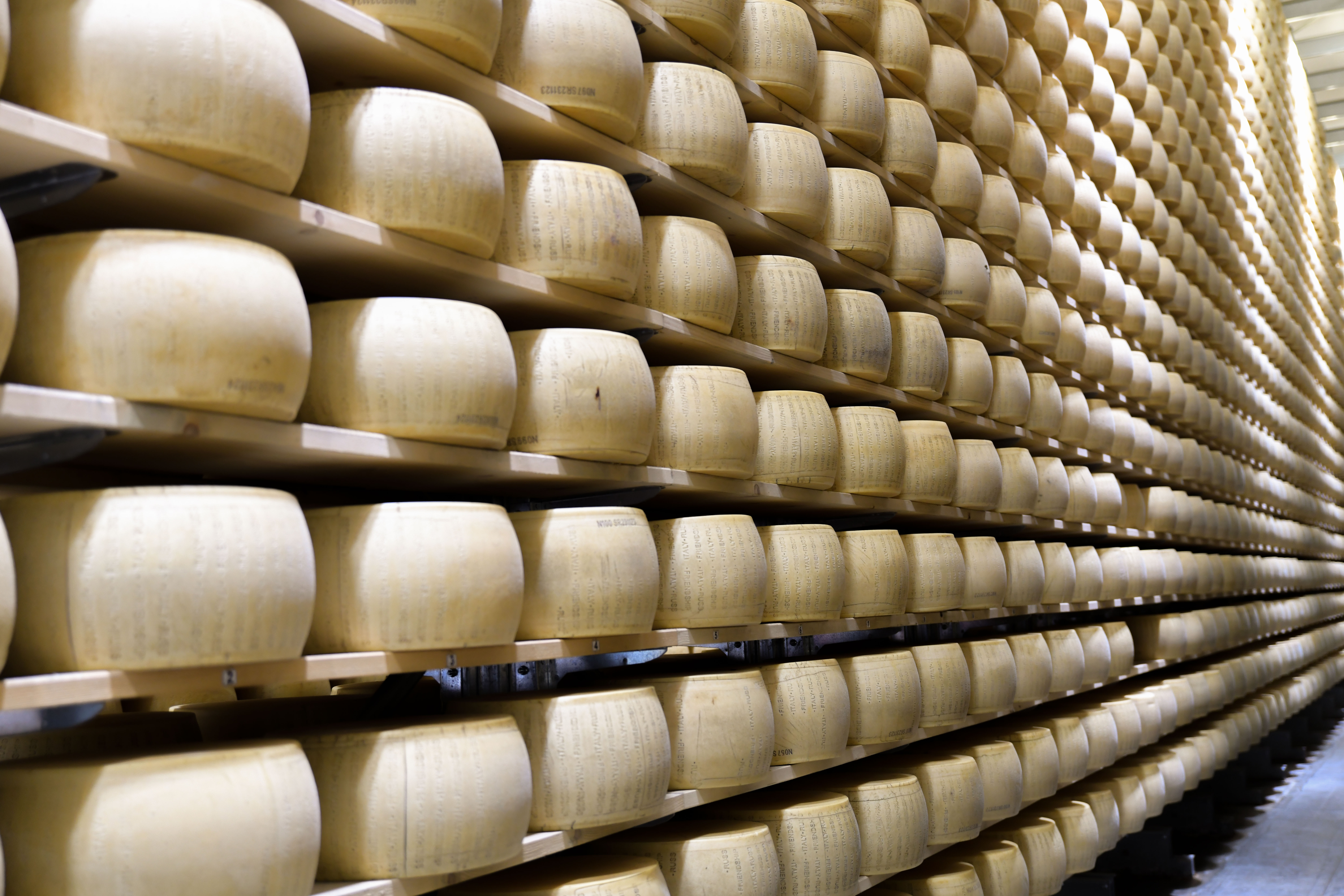 В этом году в Подмосковье планируется завершить строительство завода по производству сыров и сухих молочных продуктов