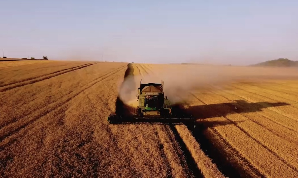 В России впервые пройдет Национальная премия «МедиаПоле»