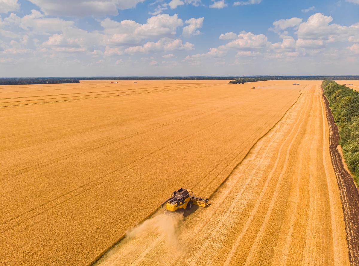 В Калининградской области убрано 64% зерновых и зернобобовых культур