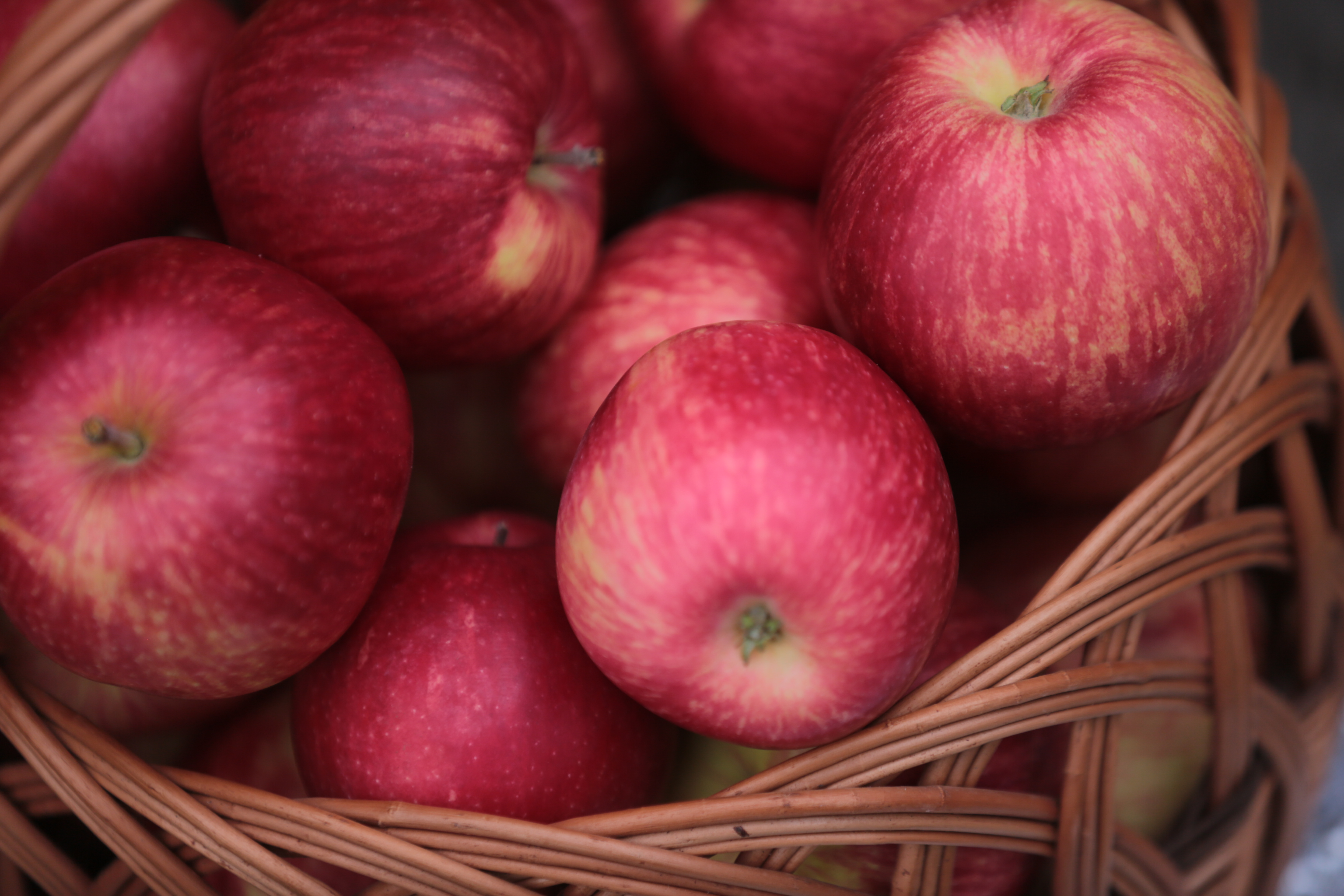 В Ивановской области стартовал прием документов на участие в конкурсном отборе на получение грантов «Агростартап»