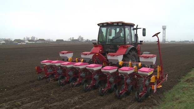 «Царицу полей» сеют в Липецкой области