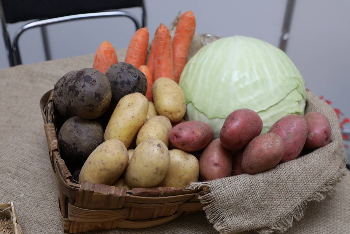 Вологодские овощеводы почти в полном объеме получили господдержку на этот год