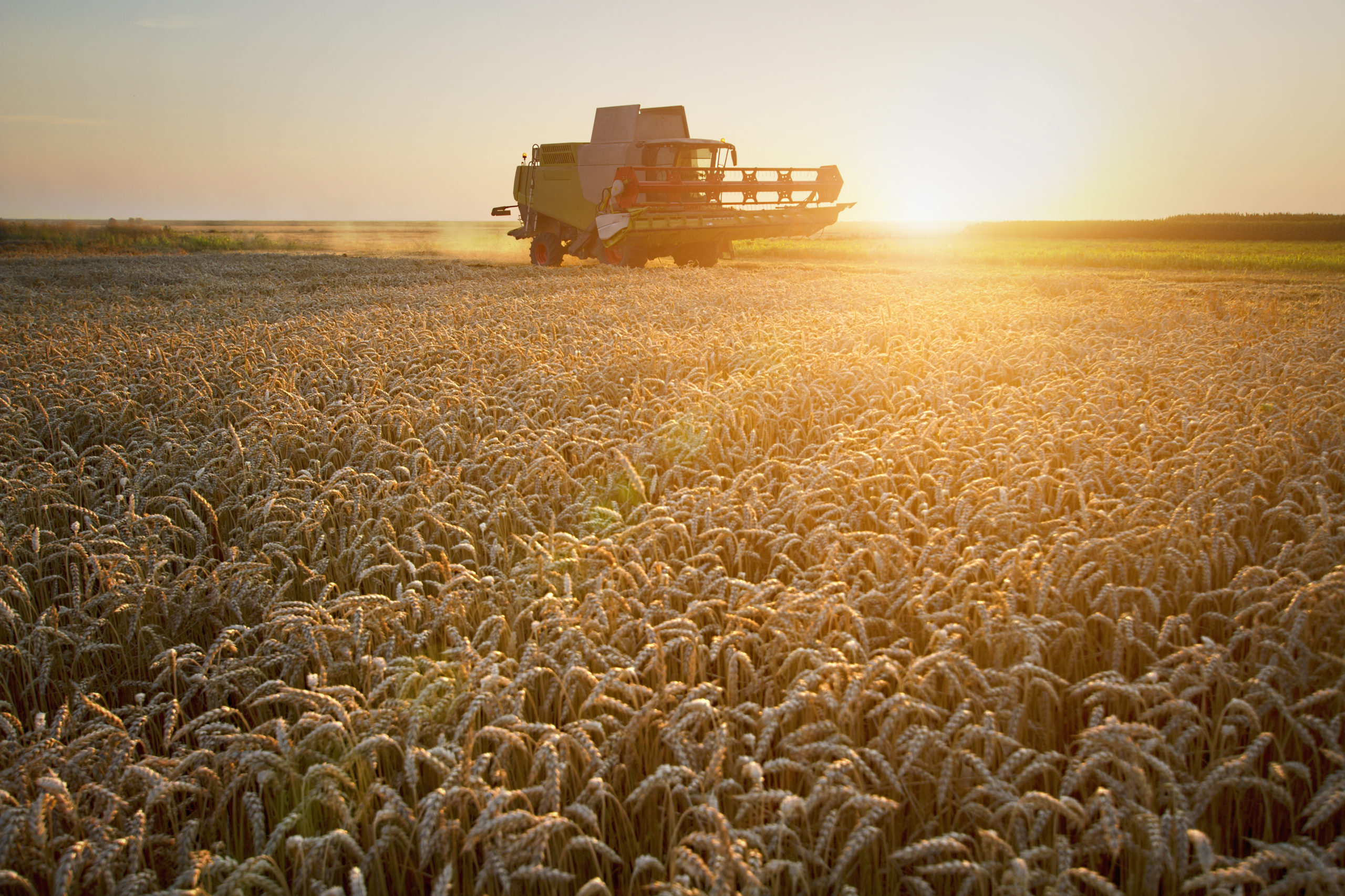 Хлеборобы Саратовской области собрали более 4,5 млн тонн зерна урожая-2023