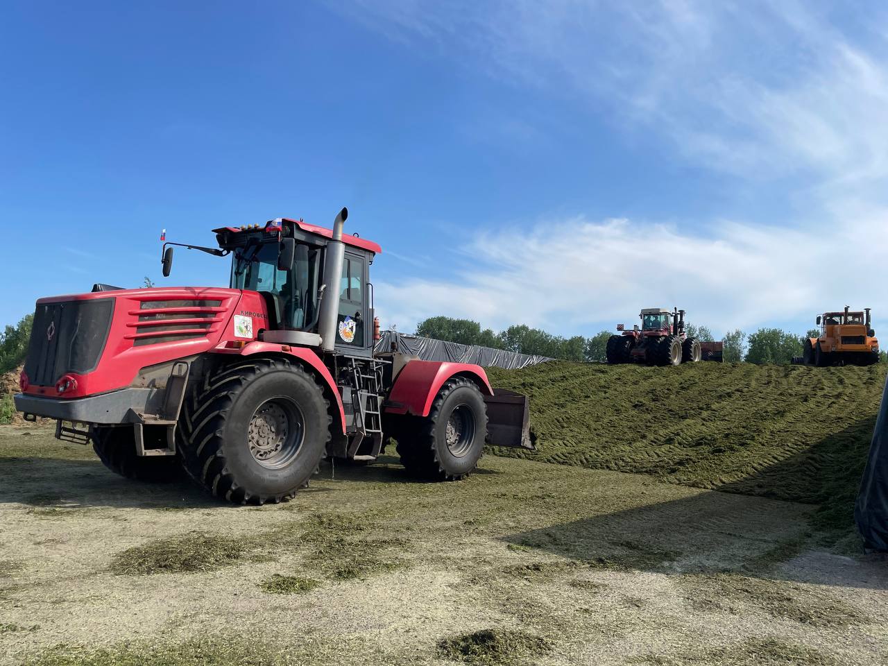 Хозяйства Томского района Томской области заготавливают корма с запасом 
