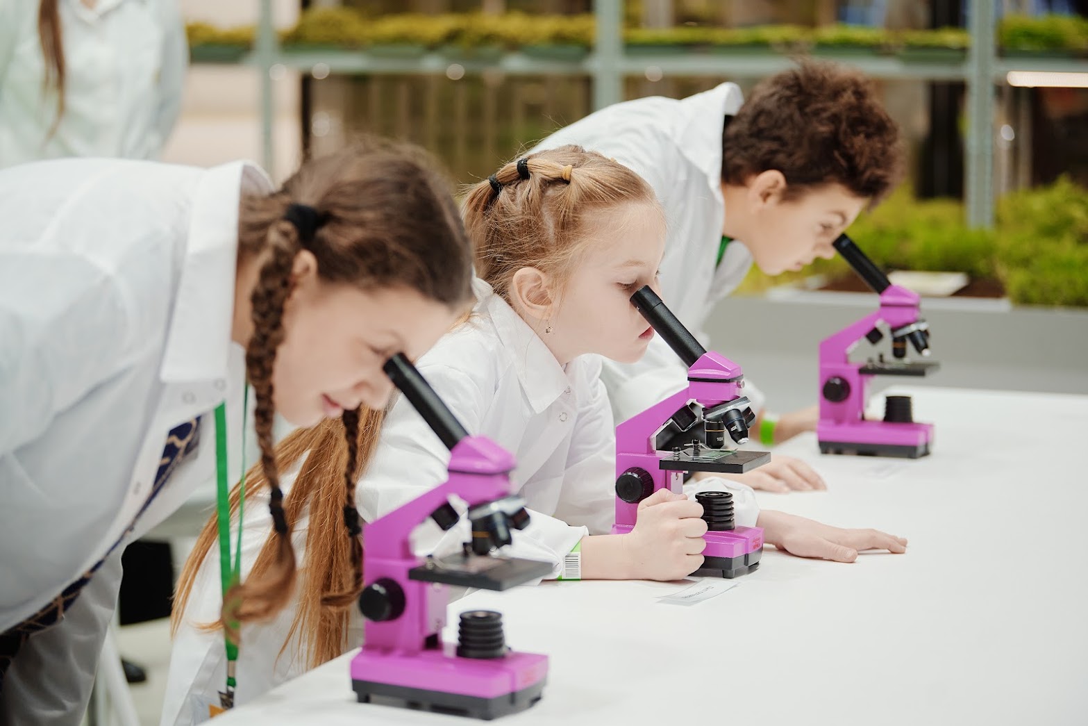 Город профессий АПК «Я в Агро» впервые откроется в рамках фестиваля «Вкусы России»