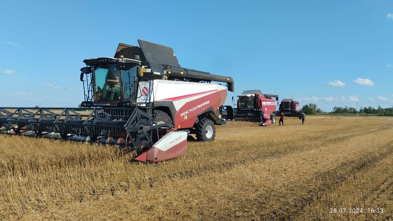 Аграрии Чувашии приступили к уборке масличных культур