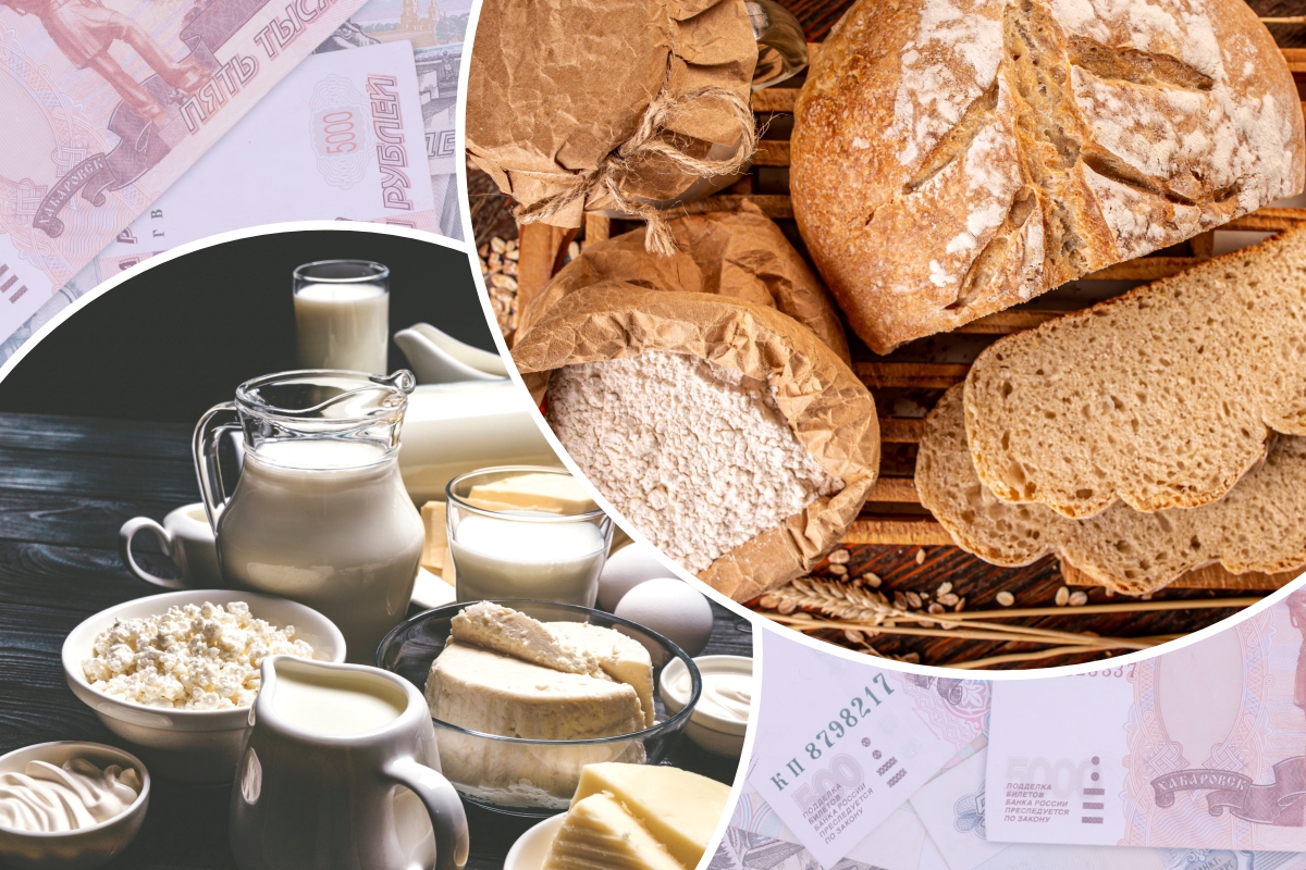 РФ к 2030 году может войти в десятку крупнейших экспортеров продовольствия — Минсельхоз