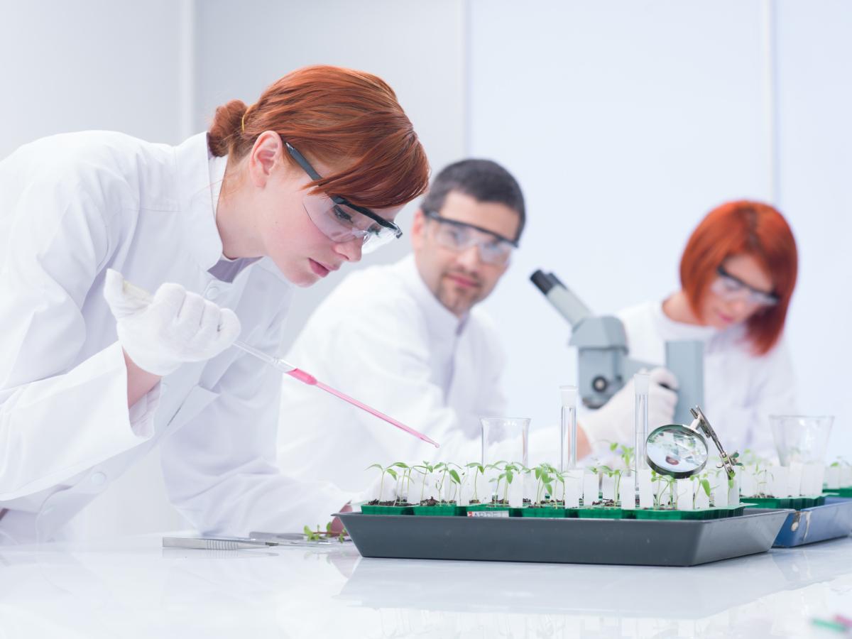 В «Сириусе» создадут биокластер для внедрения передовых решений в АПК