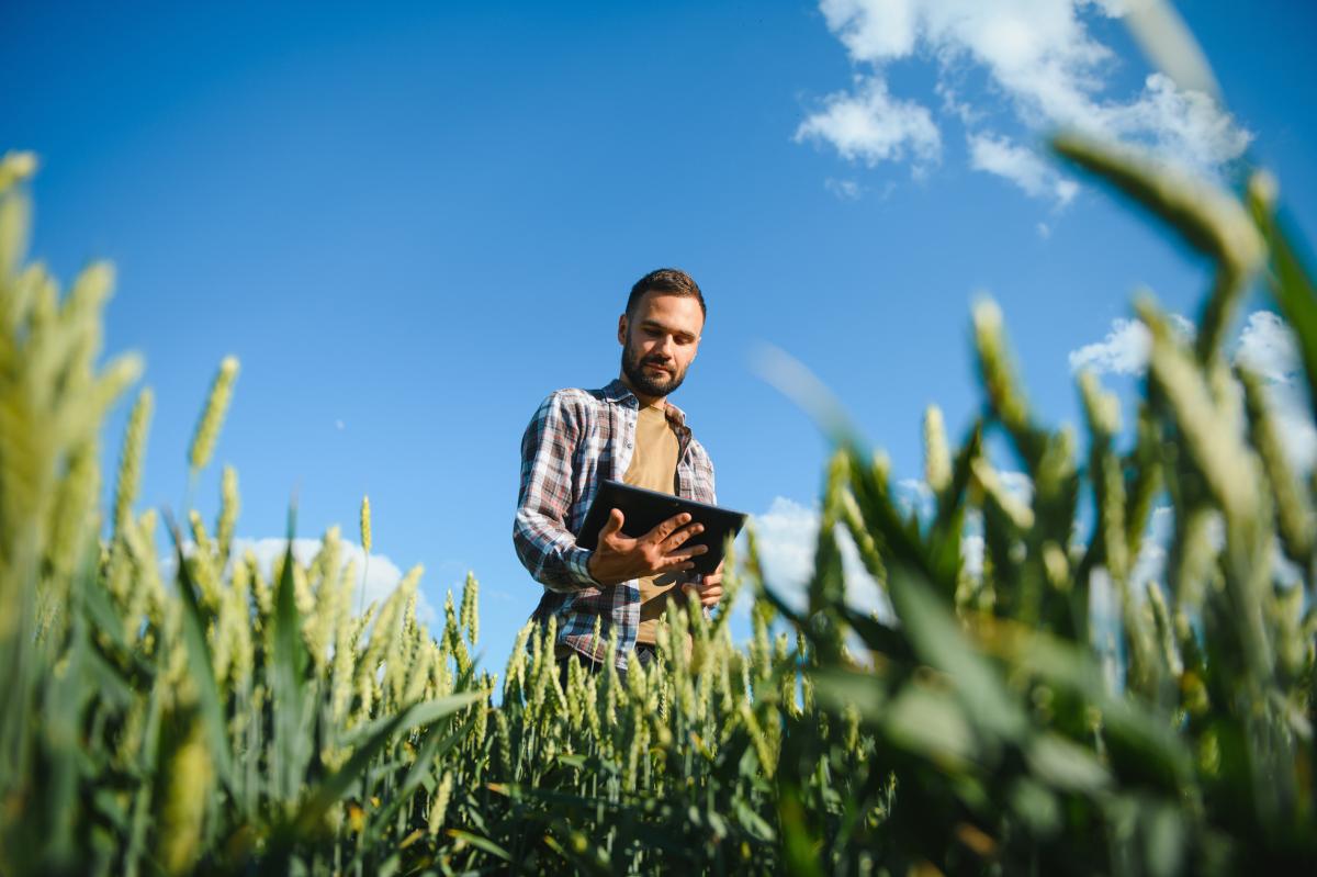 Минсельхоз и Росстат синхронизируют формы отчетности аграриев с информсистемами