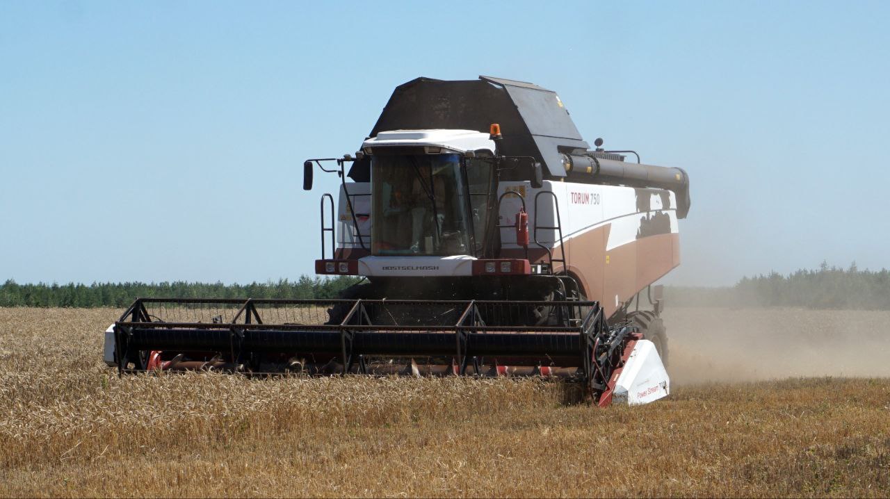 Первые сто тысяч тонн зерновых собраны в Липецкой области