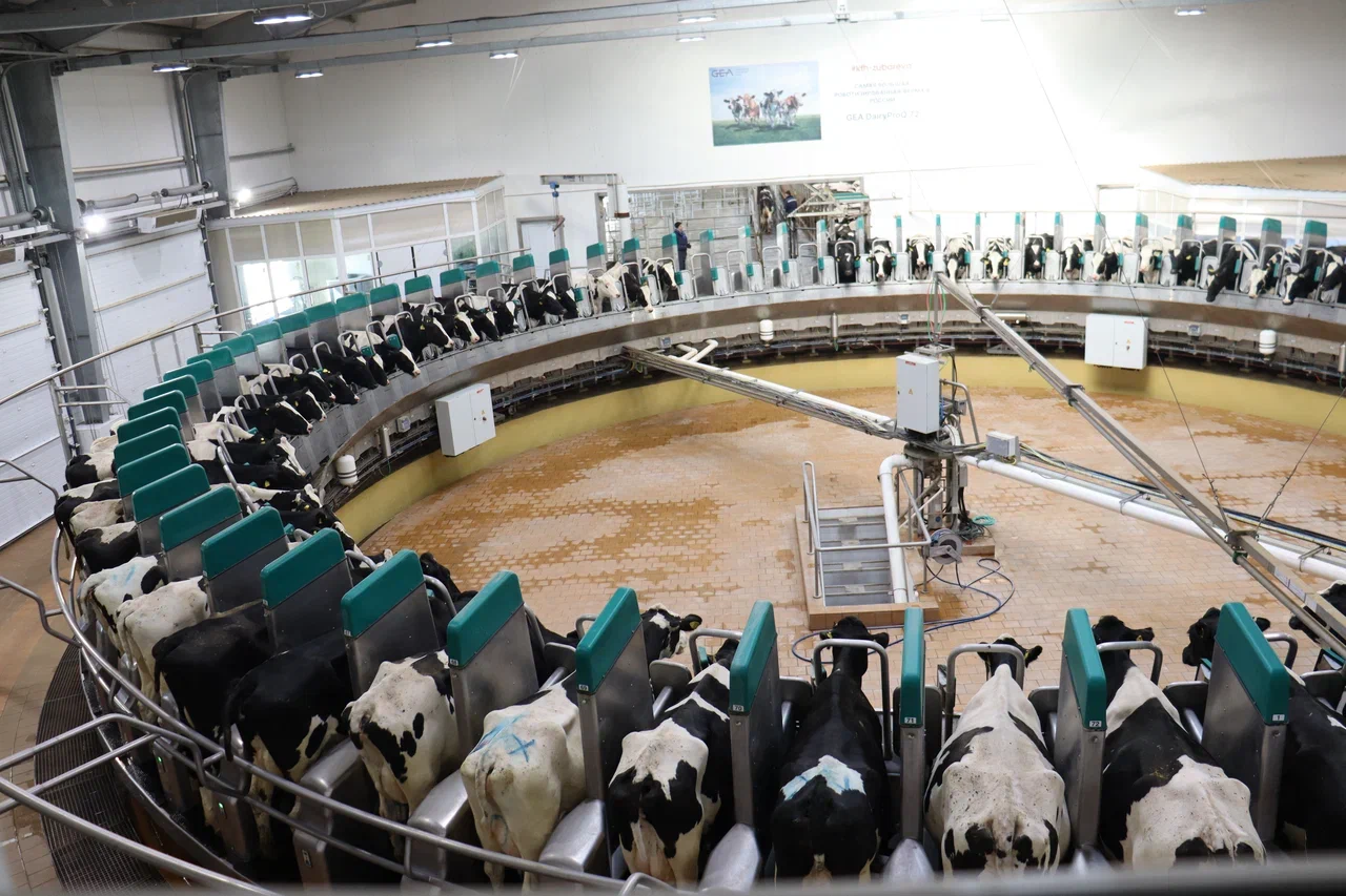 Модернизация АПК: животноводческие комплексы на юге Красноярского края увеличивают мощности 