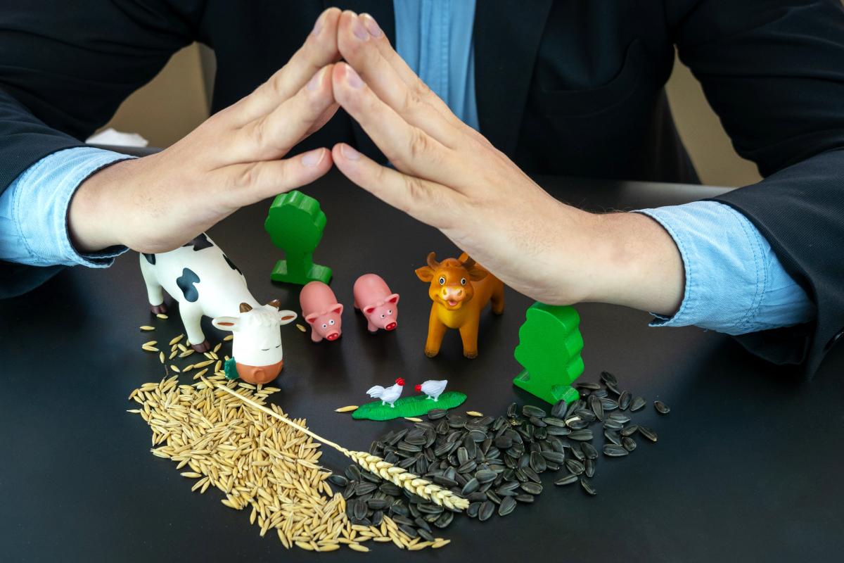 Субсидии на агрострахование в РФ могут составить 16,5 млрд руб. на три года