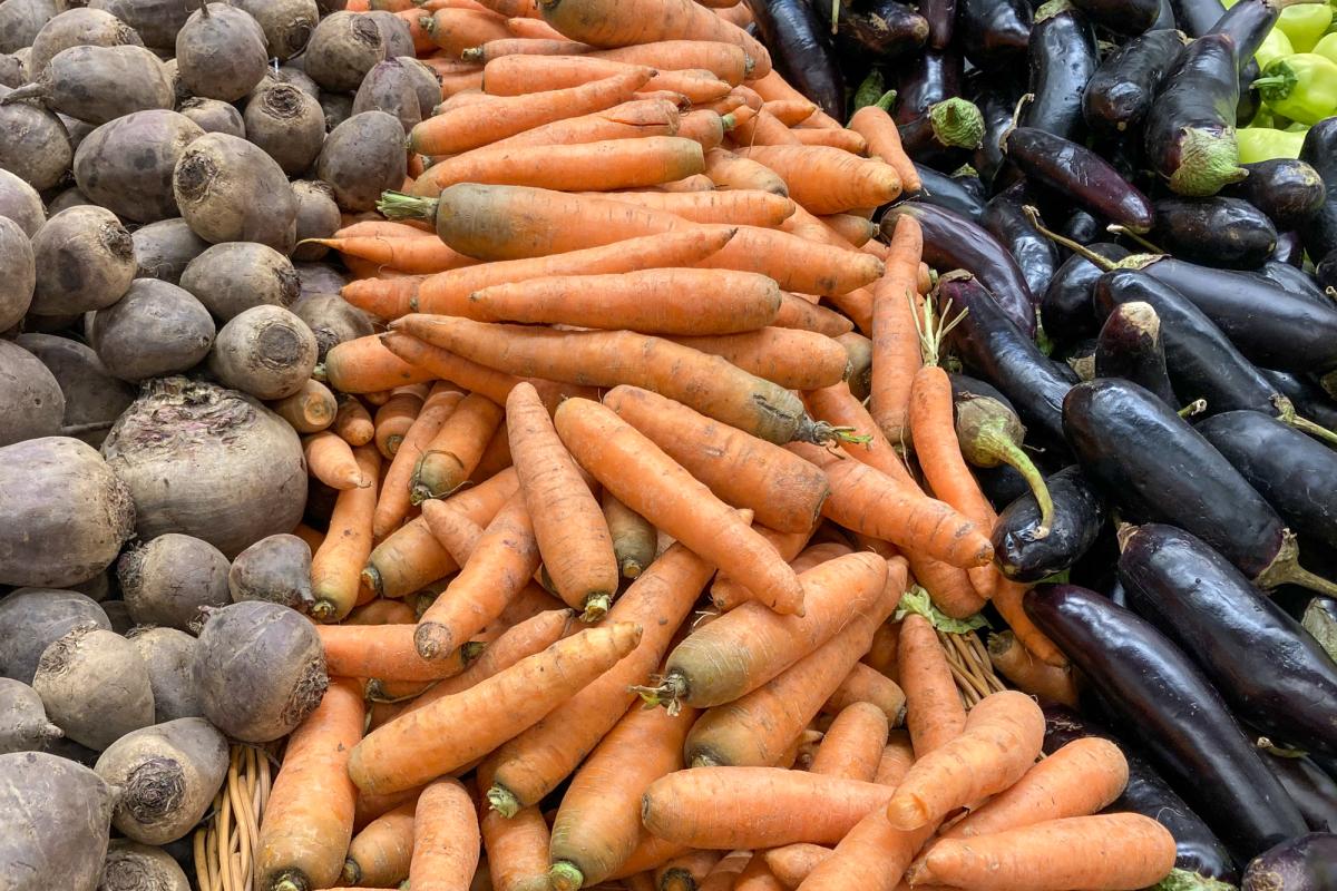 В России заложат на хранение рекордный объем овощей и фруктов