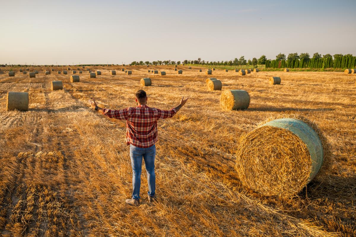 В Совфеде одобрили федеральные законы в АПК и рыболовстве