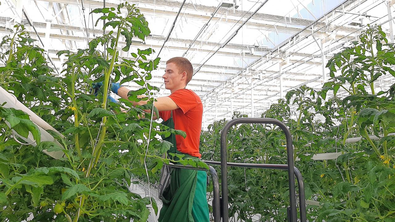 15 молодых специалистов крымских пищевых и перерабатывающих предприятий получили единовременную выплату от Минсельхоза Крыма