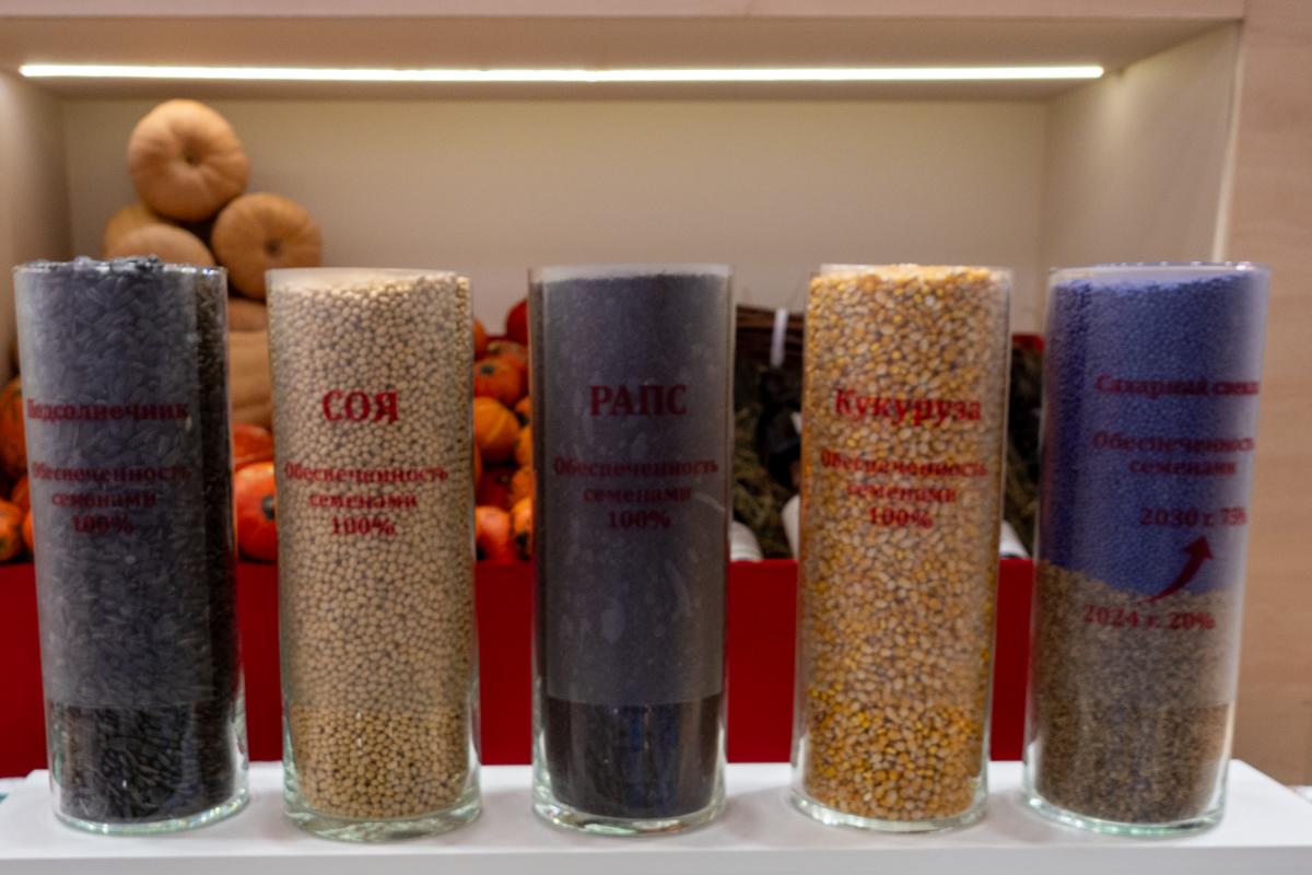 Доля семян отечественной селекции в РФ достигла 67,6%