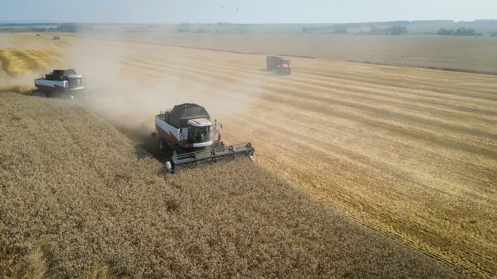 В Башкортостане намолотили более полумиллиона тонн зерна