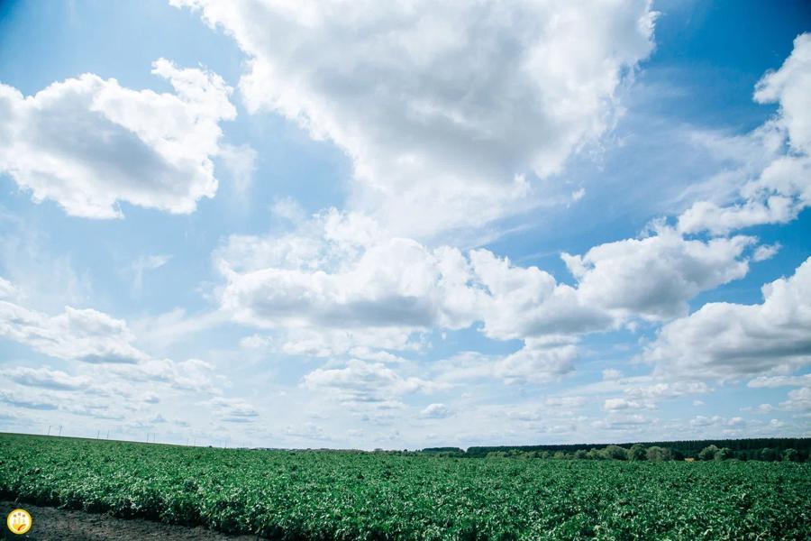 В январе аграрии Чувашии получили льготные кредиты на 60 млн рублей