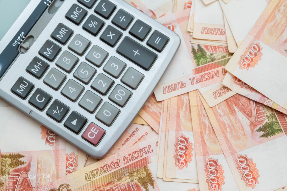 Выручка агросектора России с 2000 года выросла в 20 раз — РСХБ