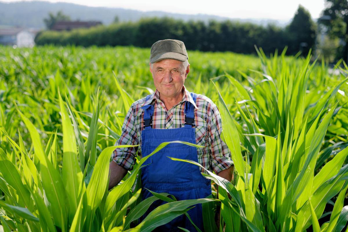 Фермерам в России разрешили работать без создания юридического лица