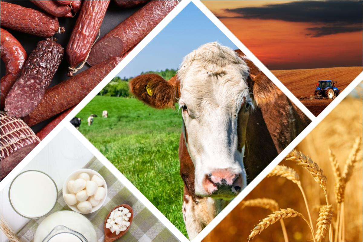 Кабмин утвердил обновленную стратегию развития АПК РФ до 2030 года