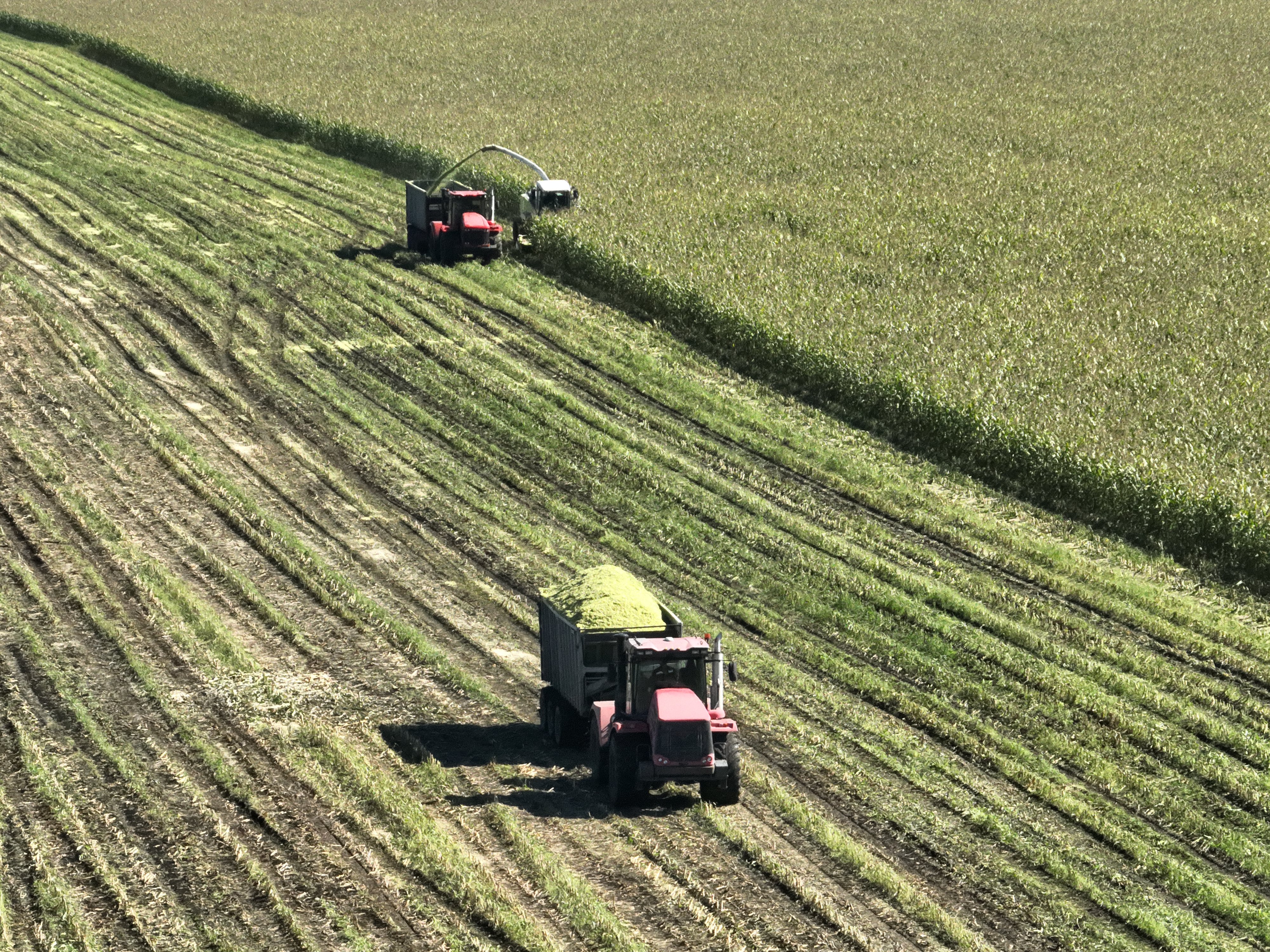 В Башкортостане выполнили план по заготовке кормов для сельскохозяйственных животных