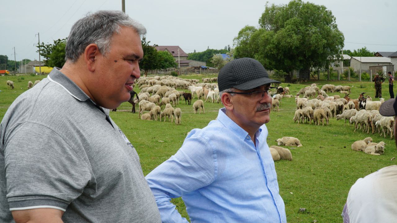 Нариман Абдулмуталибов и Мухтарбий Аджеков побывали на отгонных землях дагестанской Агрофирмы «Чох»