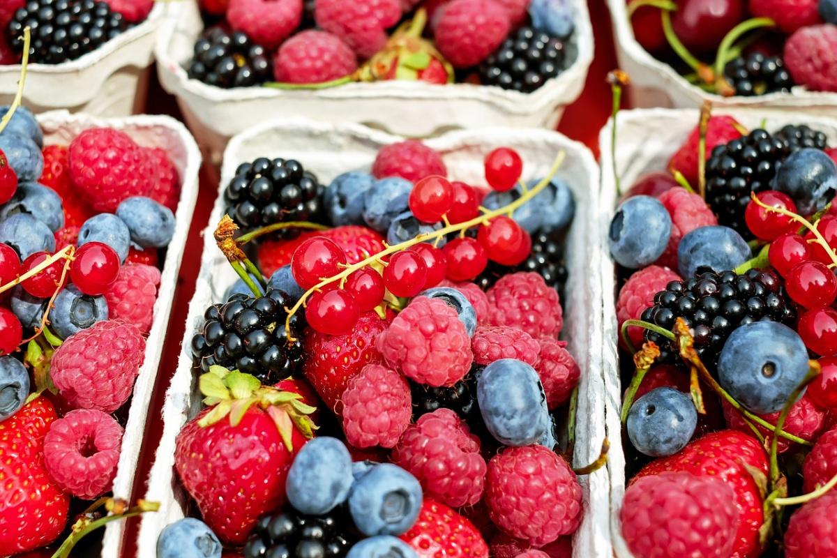 За 7 лет урожайность ягод в России увеличилась на 14% — «Россельхозбанк»
