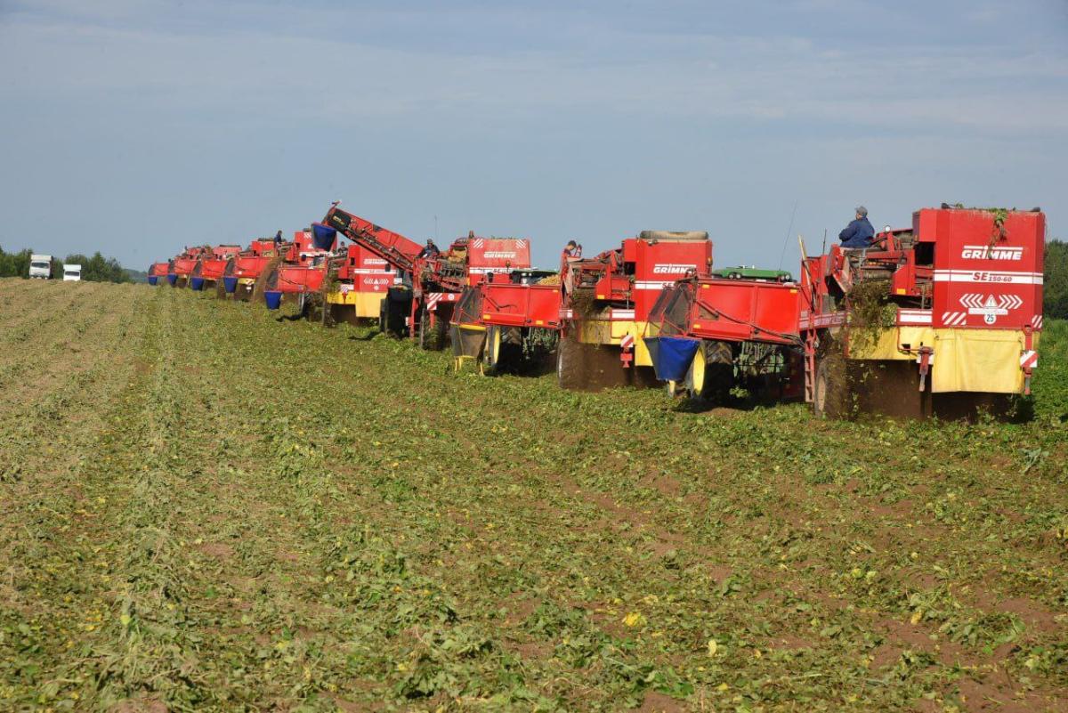 В Брянской области зерновые убраны на 69% площади