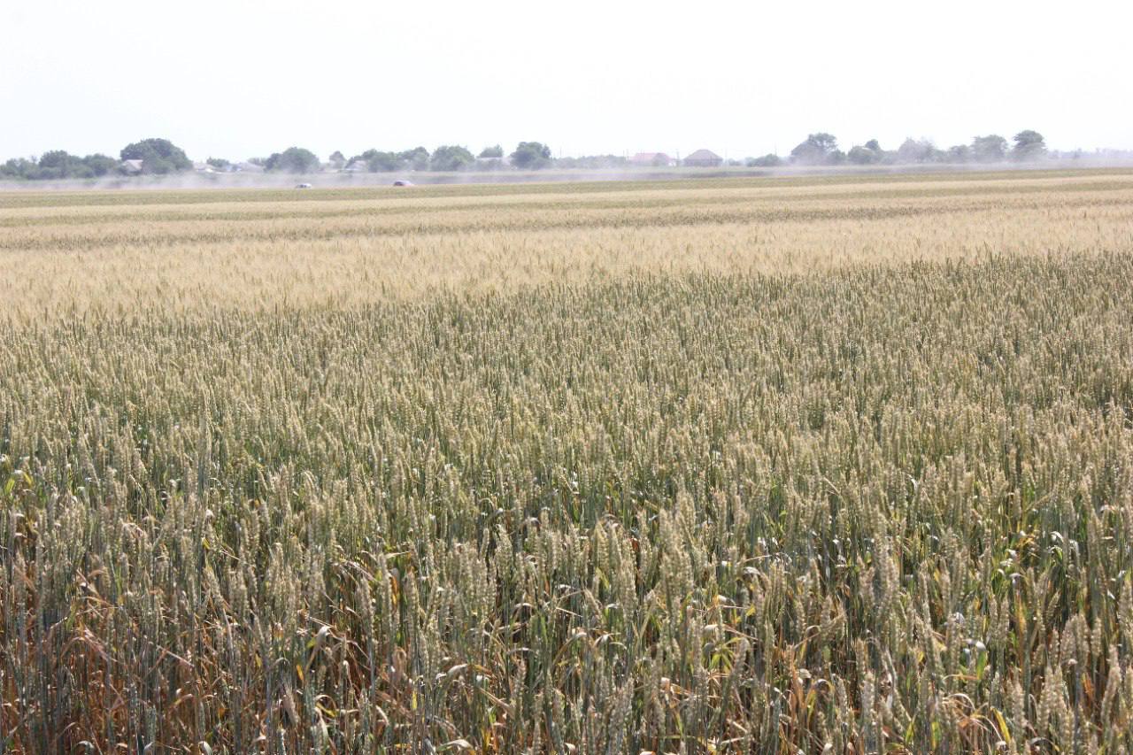 На Ставрополье шесть ветеранов и участников СВО получили гранты на развитие агробизнеса