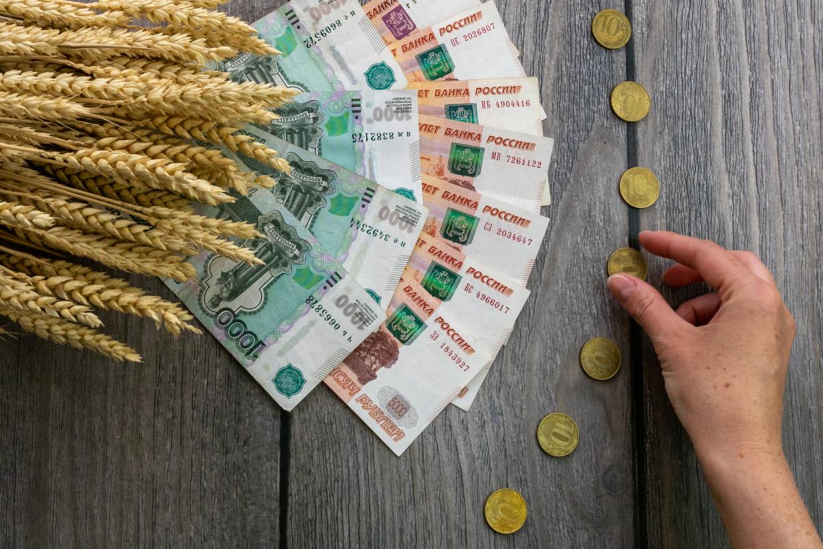 Минсельхоз: согласовано выделение дополнительных 10 млрд руб. производителям зерна 