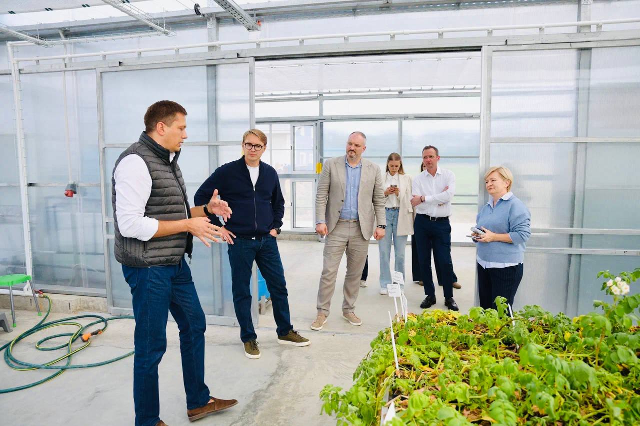 Безвирусный картофель и инновационные технологии отечественной селекции разрабатывают в Подмосковье