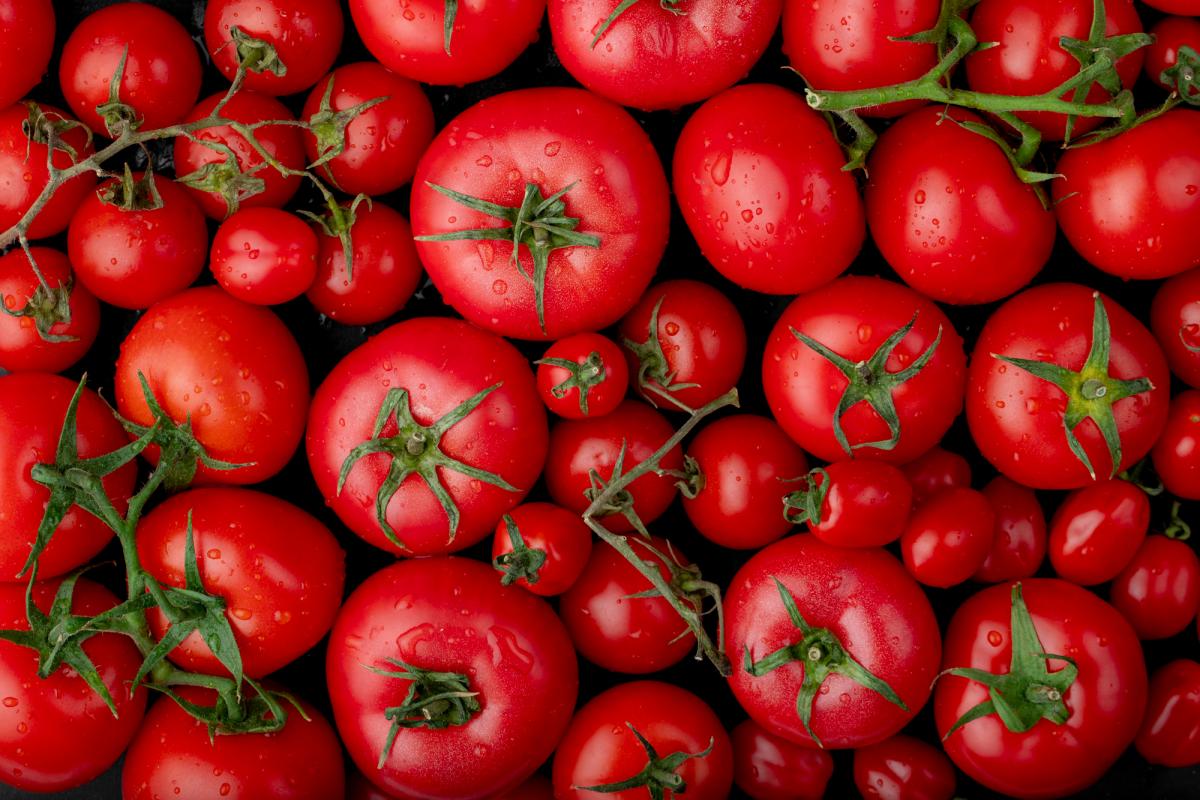 В Республике Алтай за неделю помидоры подешевели на 10,6%
