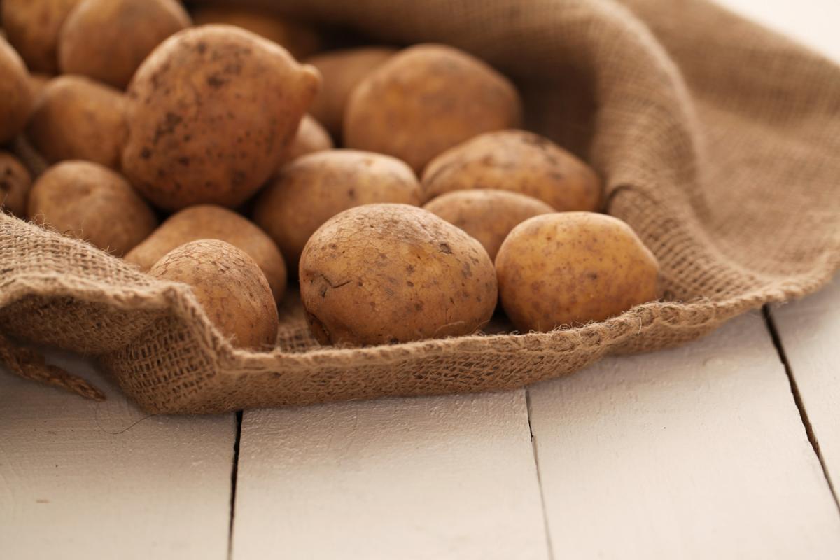 В России вводят тарифную льготу на импорт картофеля