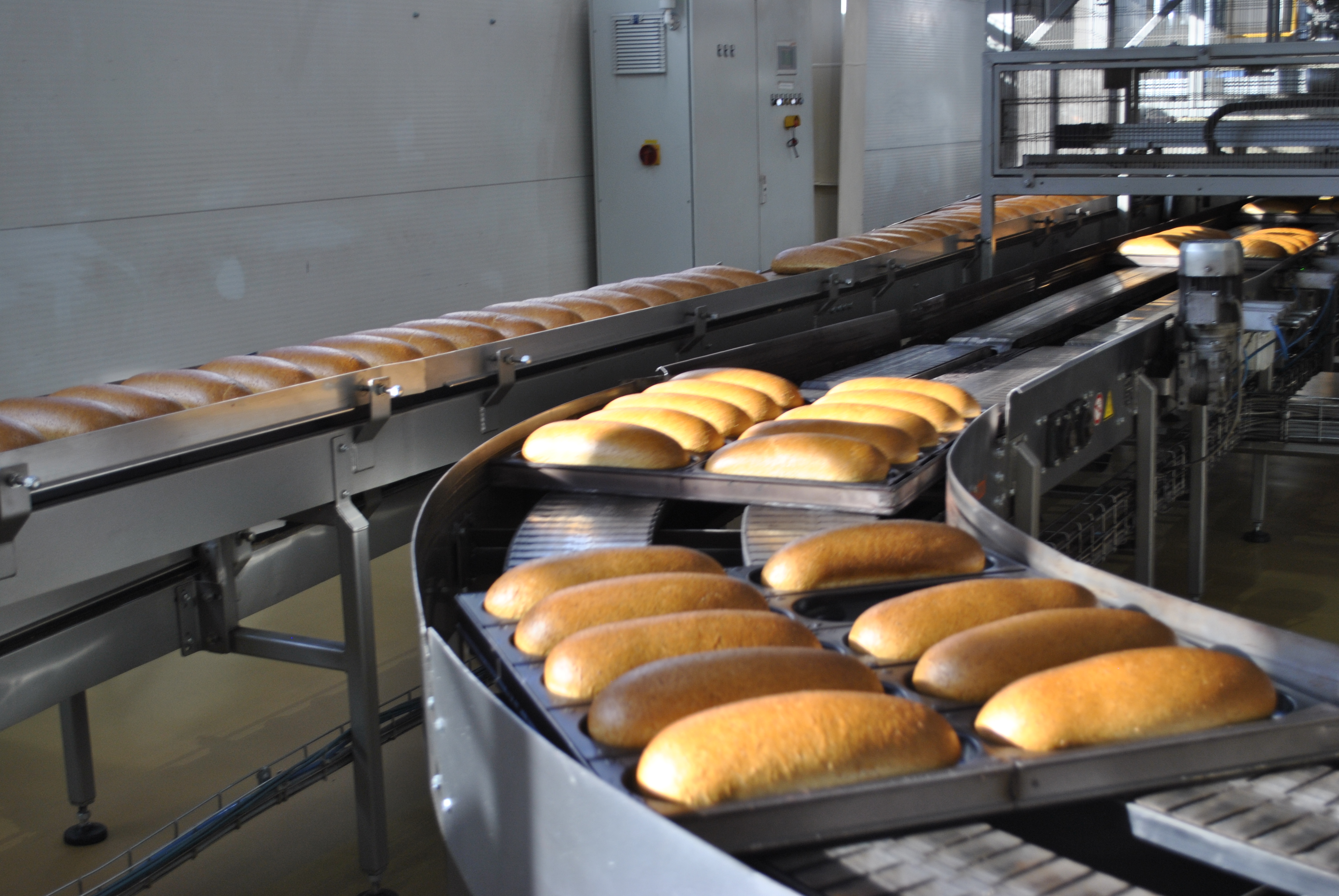 В хлебопекарной отрасли Дона реализуются новые инвестпроекты