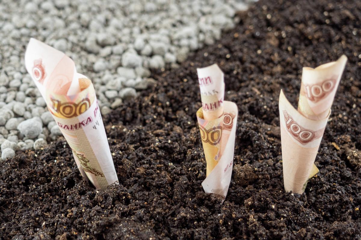 Аграрии Калмыкии получили из федерального бюджета более 507 млн руб.