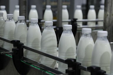 Объём реализации молока в сельхозорганизациях вырос на 6%