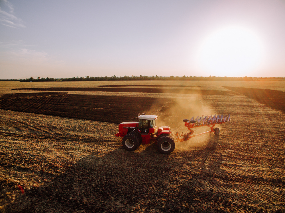 Осенняя посевная кампания в Волгоградской области выходит на финишную прямую