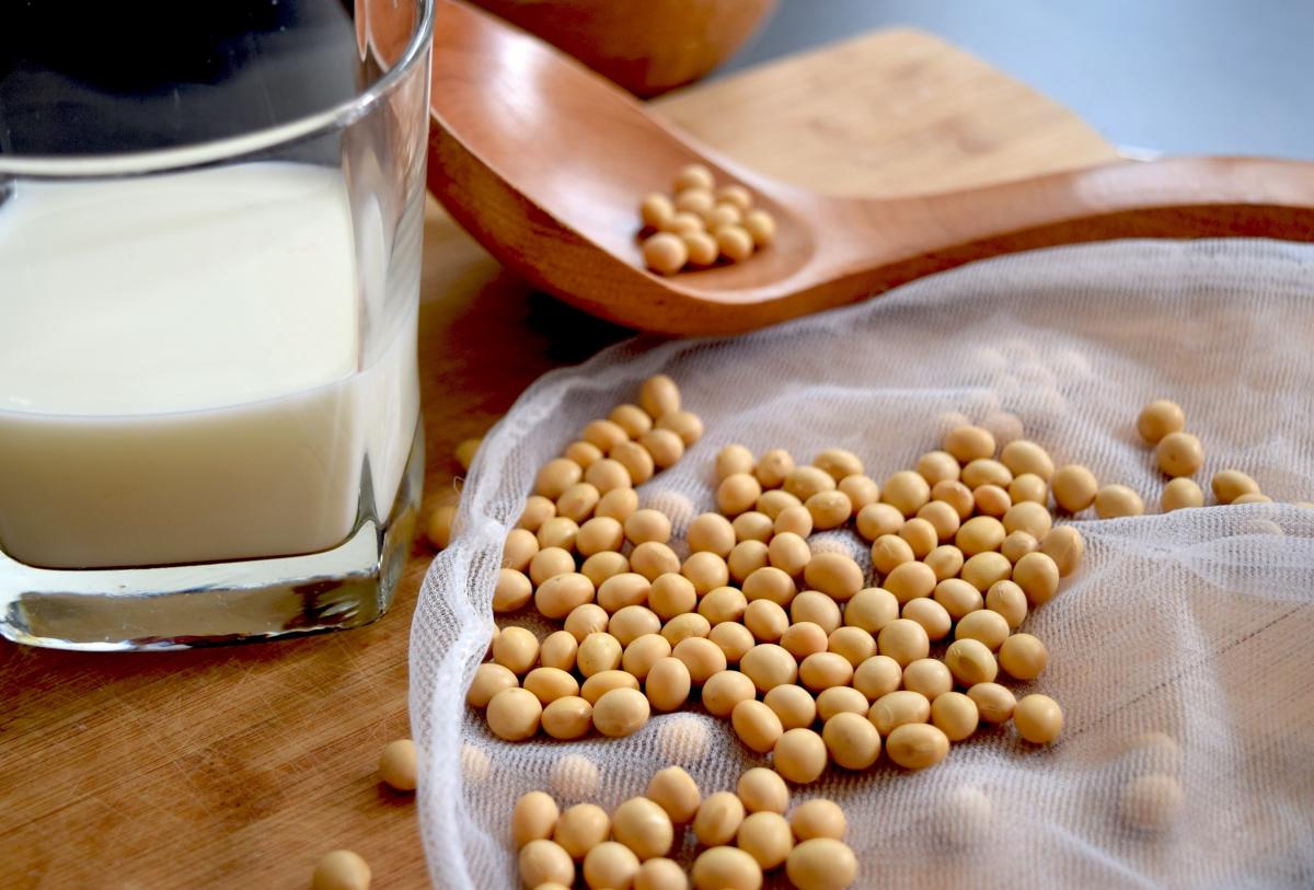 В России продлено действие пошлины на экспорт сои 