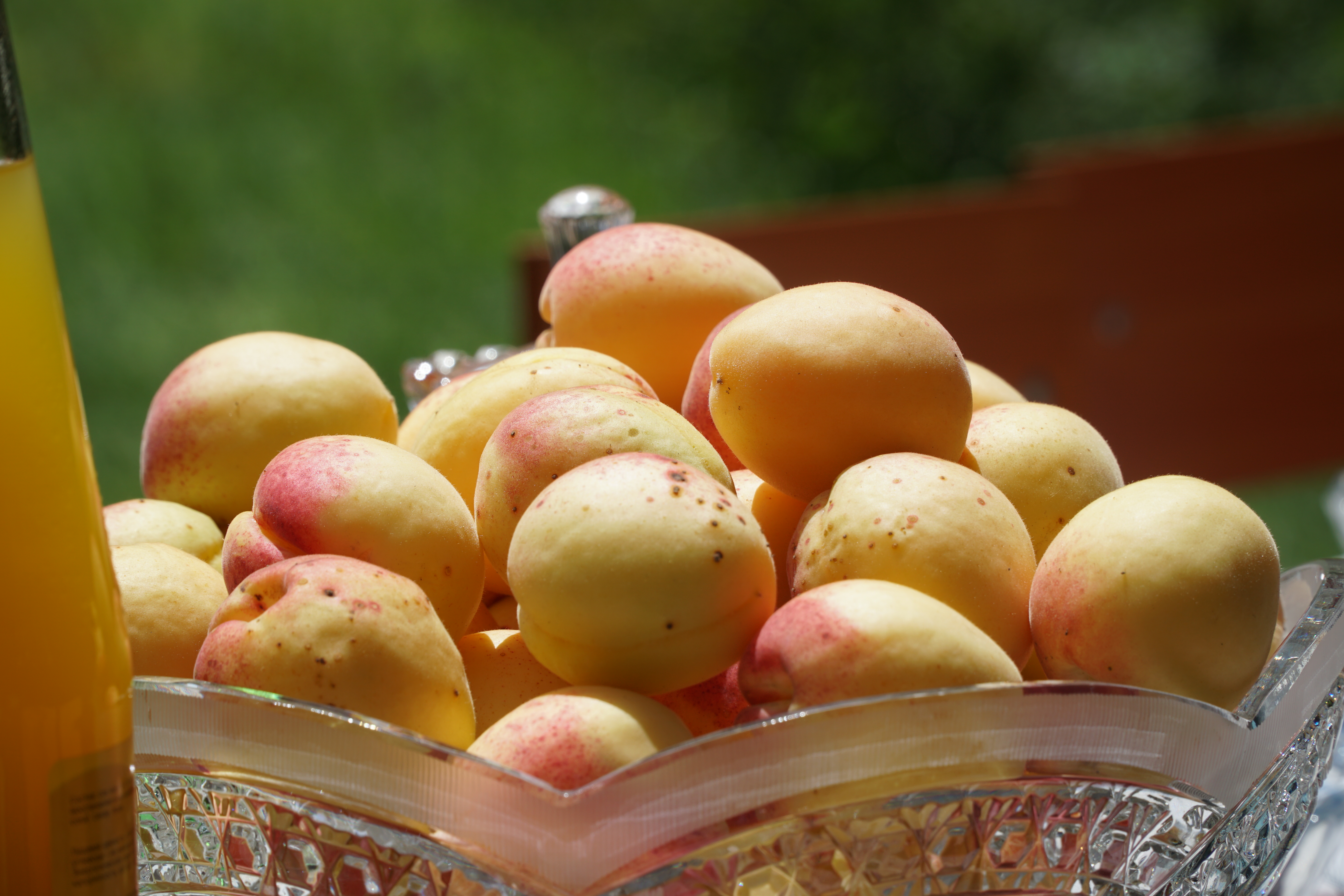 В Дагестане возрождают Чиркатинский консервный завод