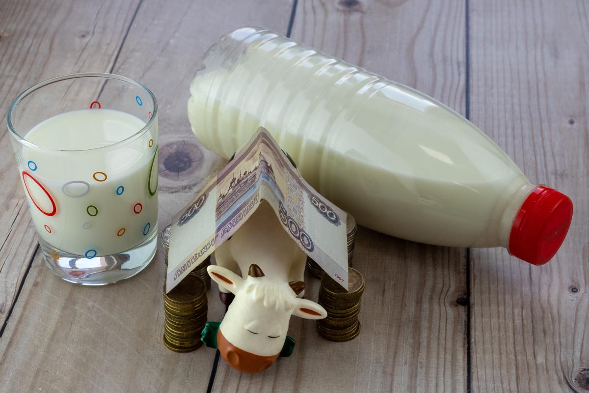 Вологодская область — в топ-15 регионов РФ по производству молока и продуктивности коров