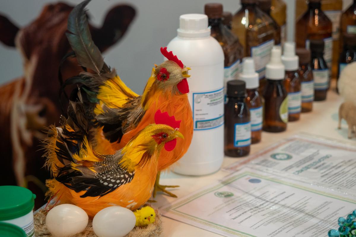 Производство ветеринарных вакцин в РФ за год выросло в 1,7 раза