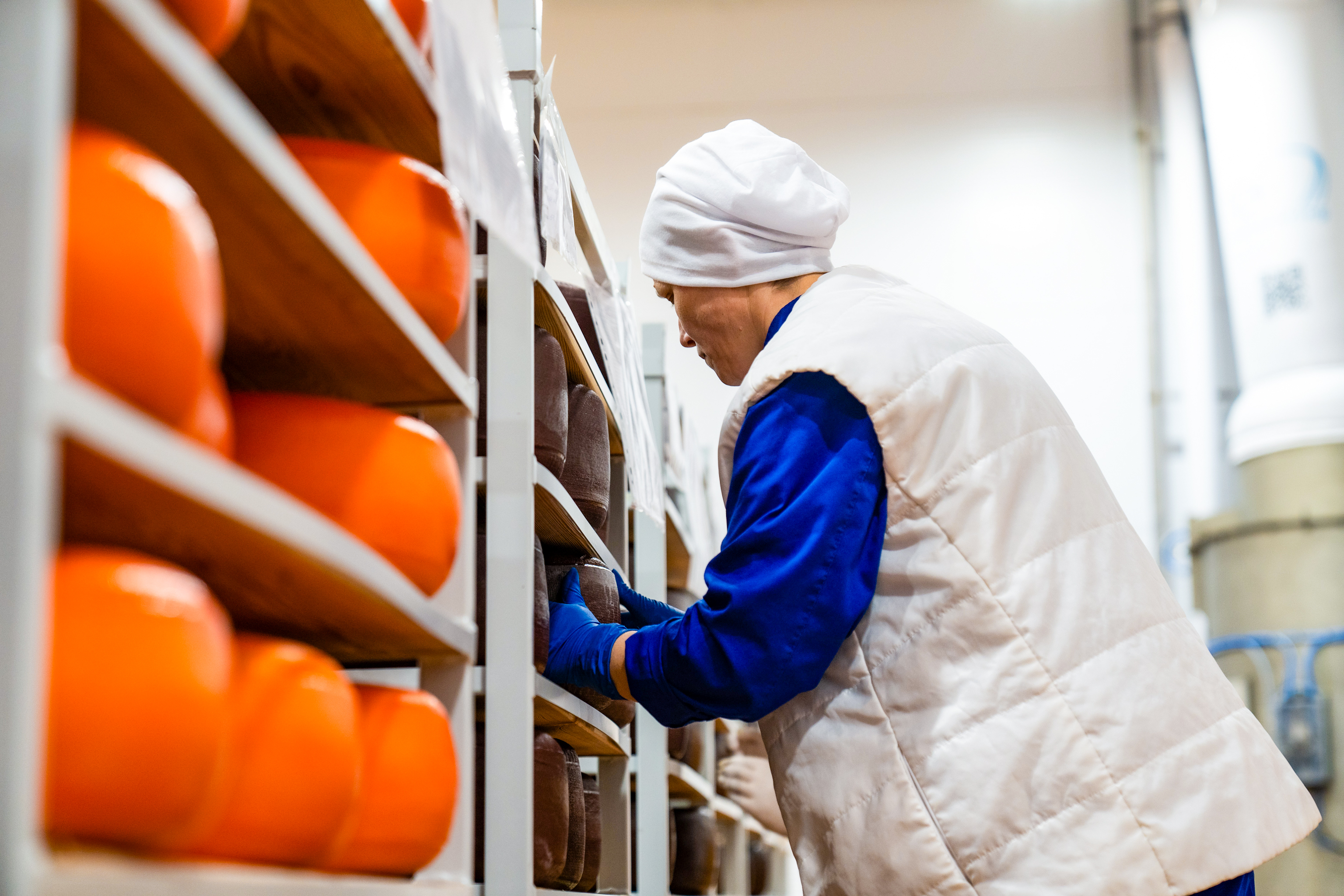 Московская область четвертый год подряд удерживает лидерство в стране по объемам производства сыра