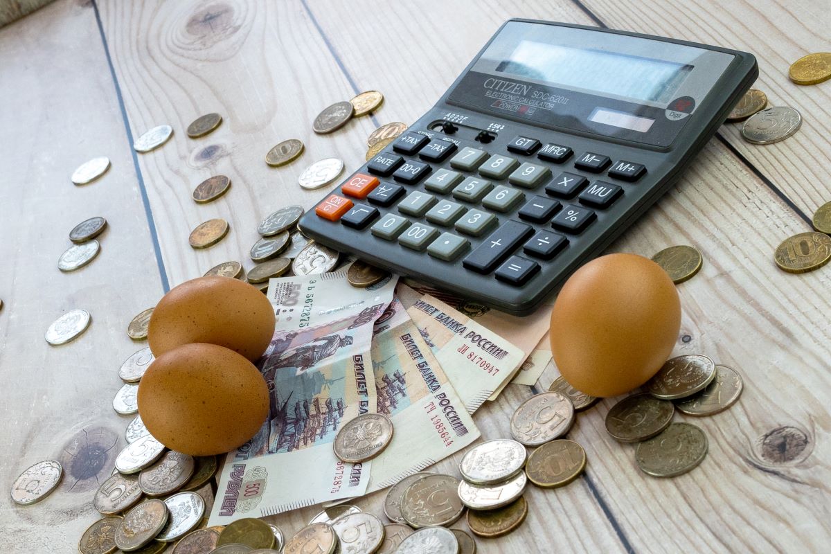 Сельхозорганизации Алтайского края в 2024 году нарастили отгрузки картофеля, яиц, зерна