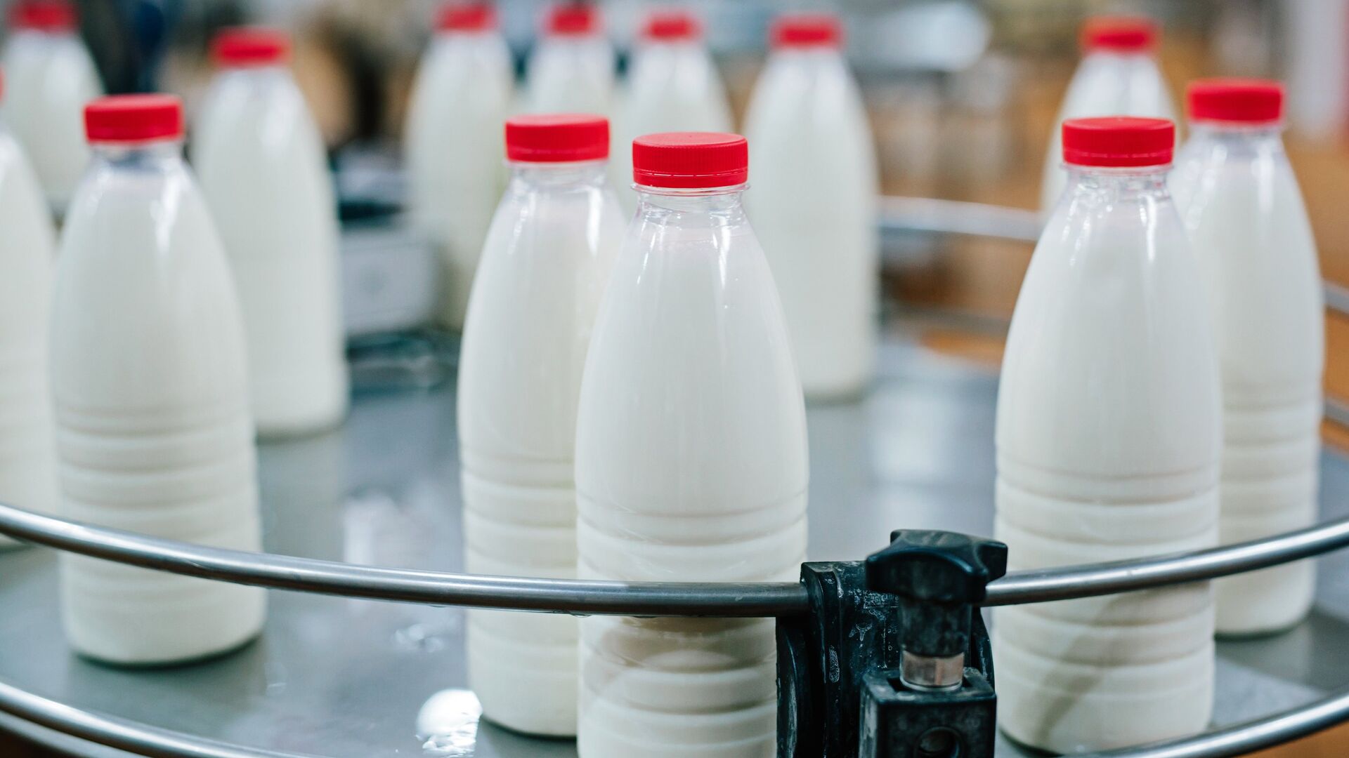 В Саратовской области произведено 100 000 тонн молока