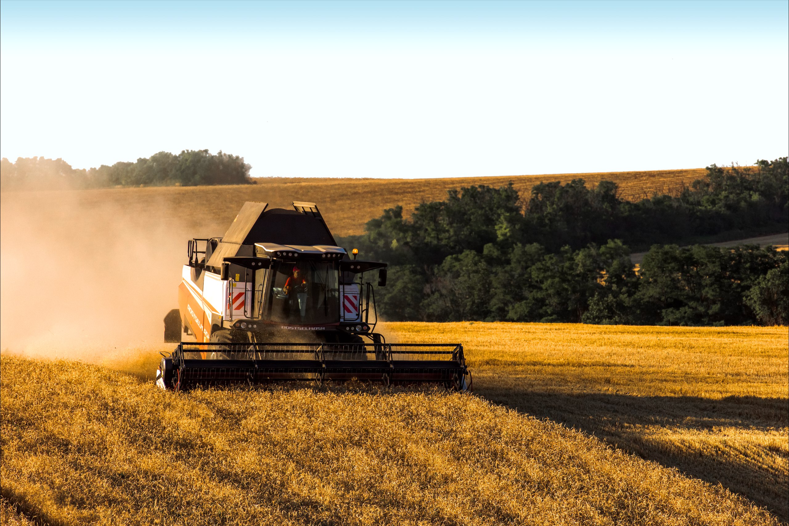 В России собрано 100 млн тонн зерна